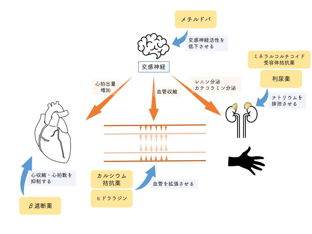 高血圧治療薬のまとめ - 水ノ江医院｜医療法人水ノ江医院